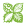 Plant Delights Nursery